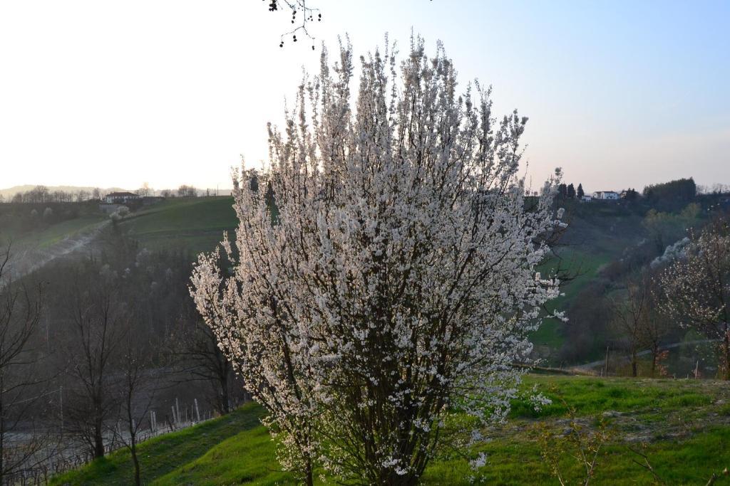 Agriturismo Costa Dei Platani Акви Терме Экстерьер фото