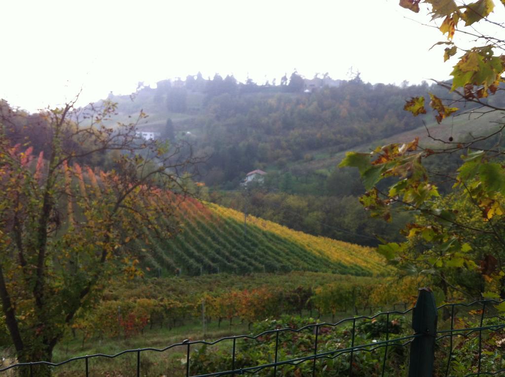 Agriturismo Costa Dei Platani Акви Терме Экстерьер фото