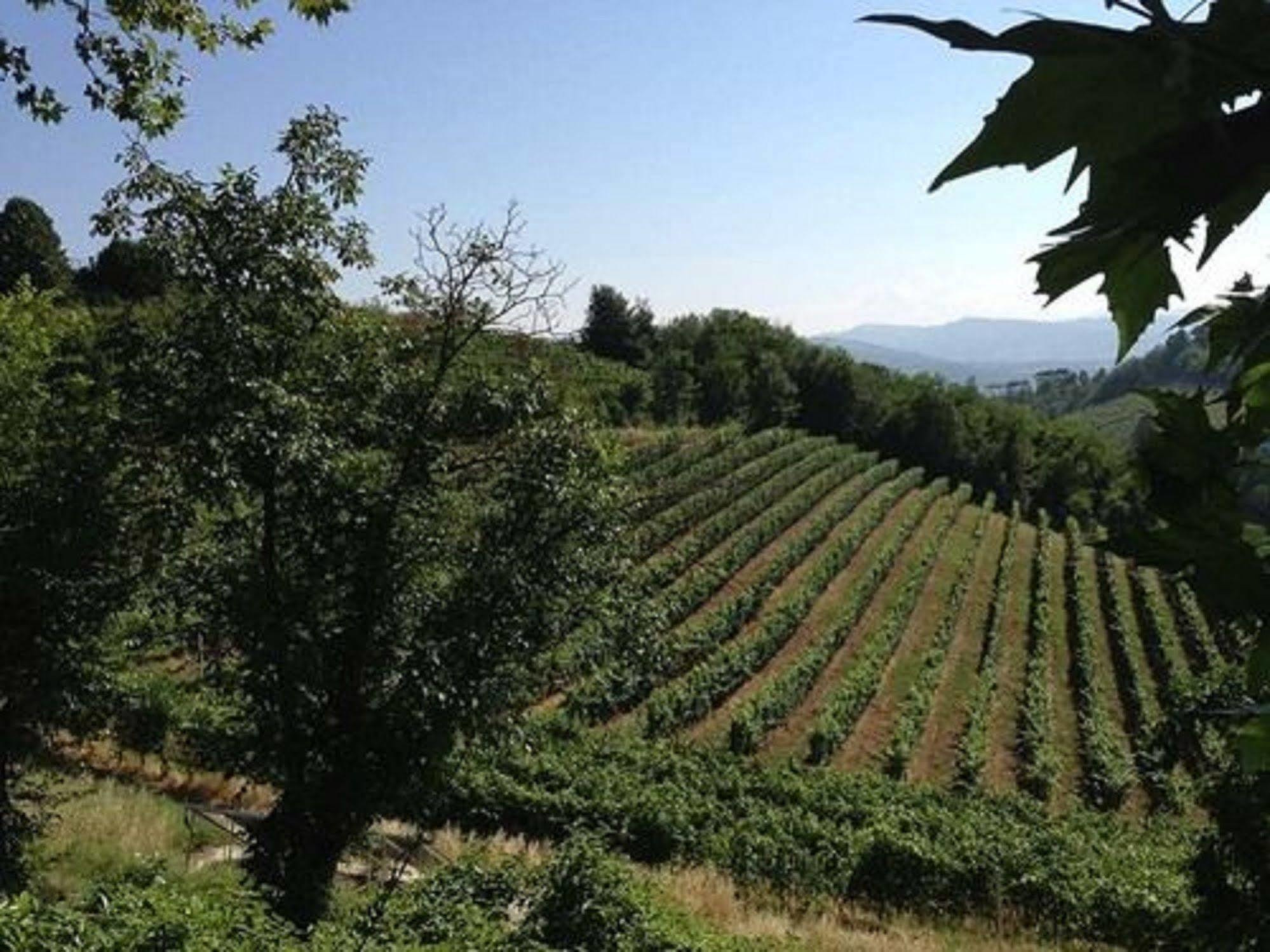 Agriturismo Costa Dei Platani Акви Терме Экстерьер фото