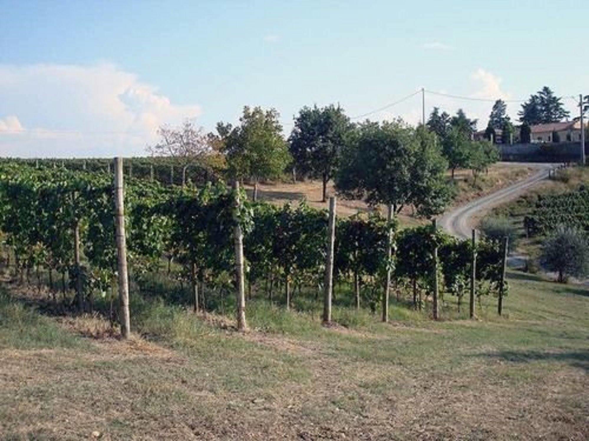 Agriturismo Costa Dei Platani Акви Терме Экстерьер фото