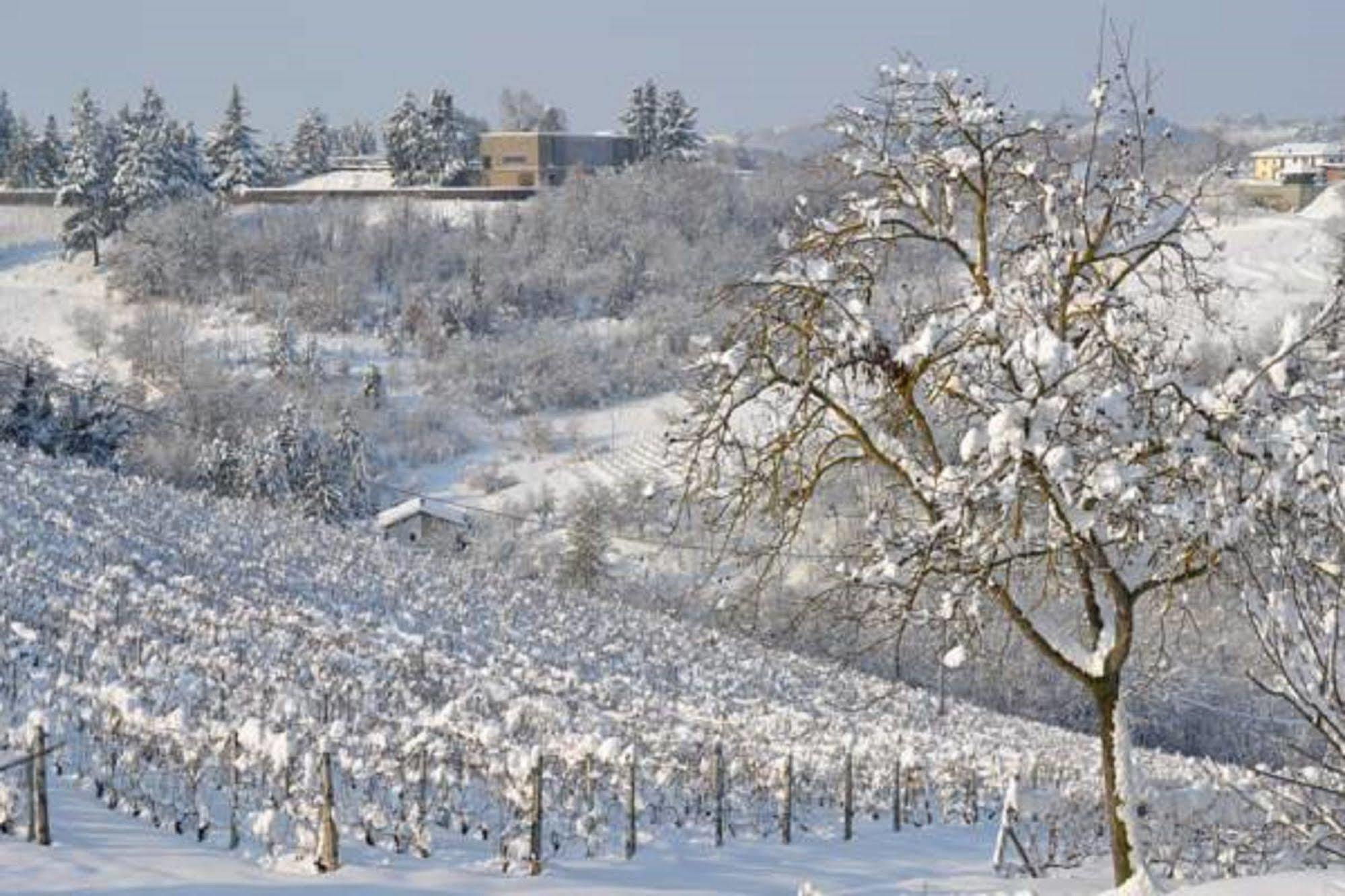 Agriturismo Costa Dei Platani Акви Терме Экстерьер фото