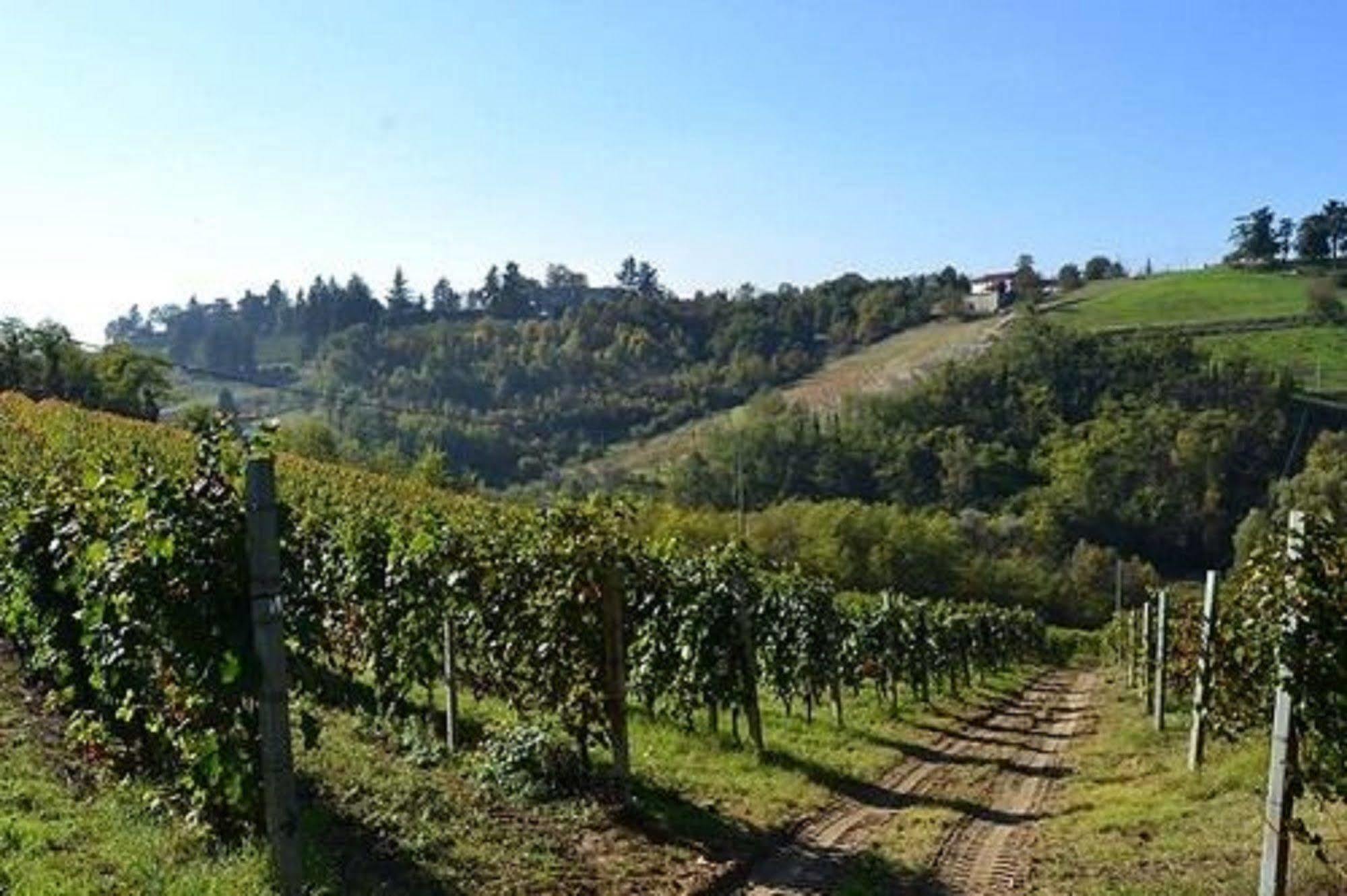 Agriturismo Costa Dei Platani Акви Терме Экстерьер фото