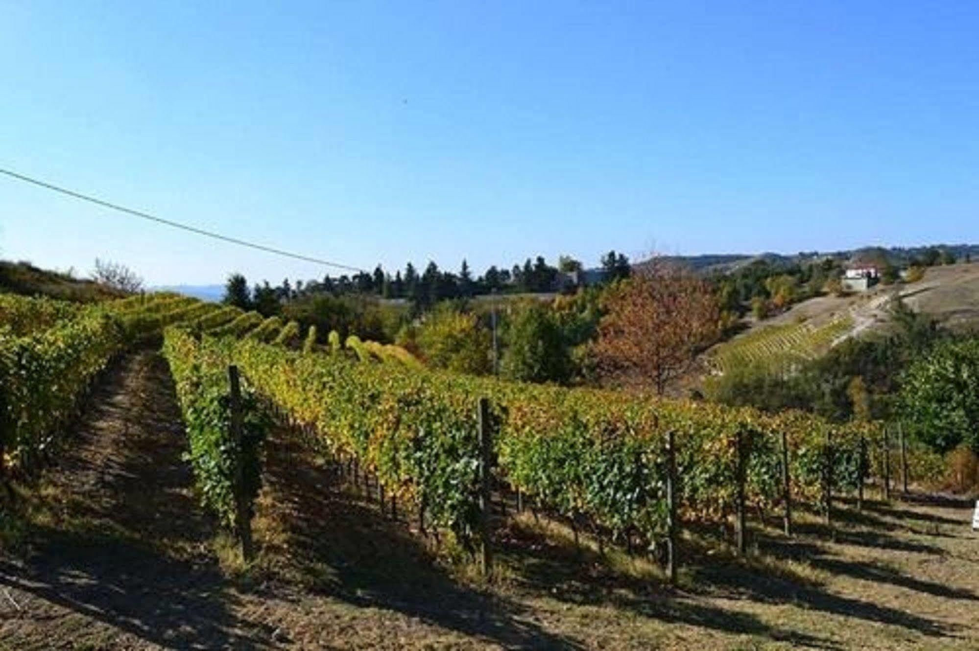 Agriturismo Costa Dei Platani Акви Терме Экстерьер фото