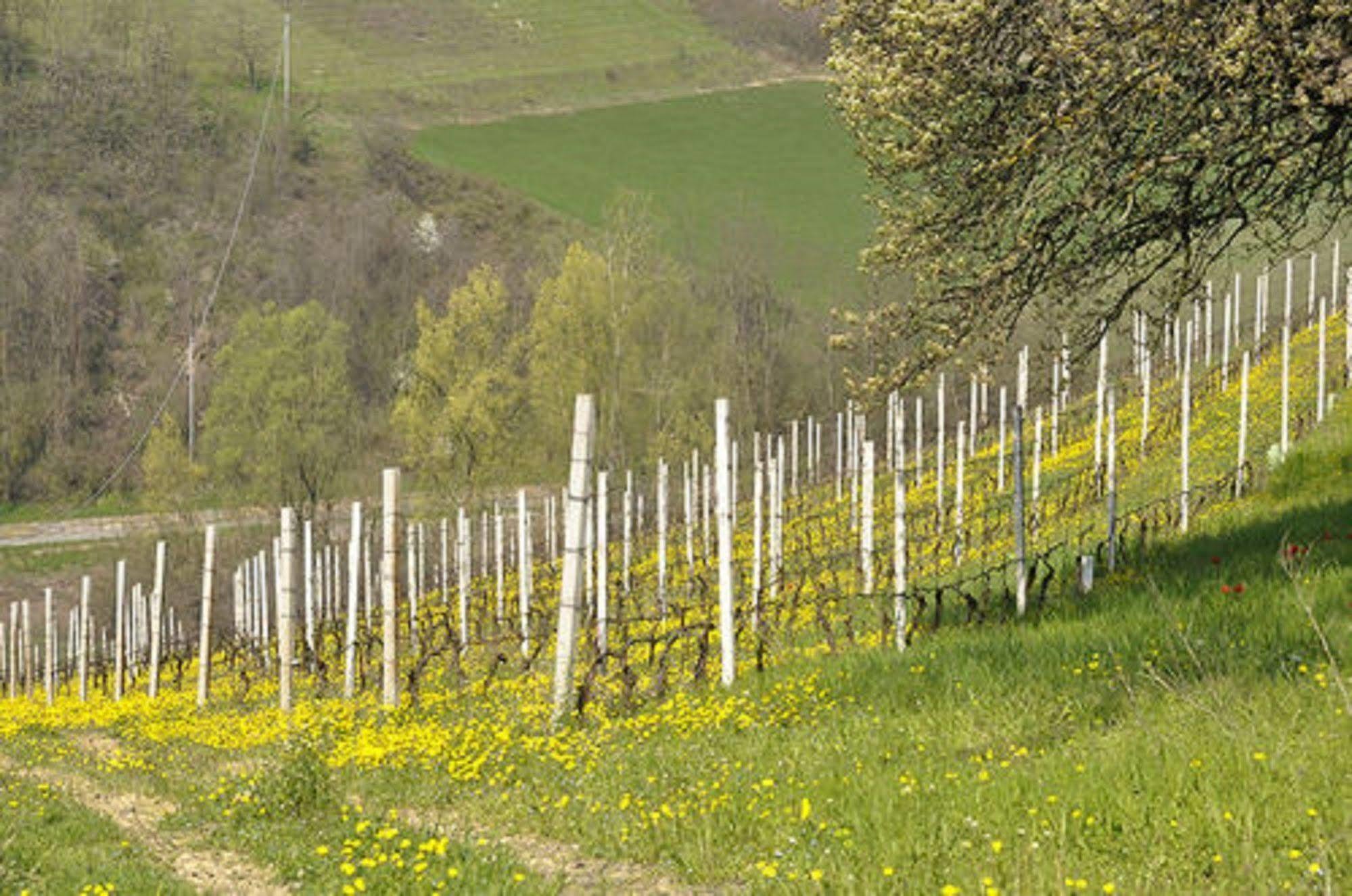 Agriturismo Costa Dei Platani Акви Терме Экстерьер фото